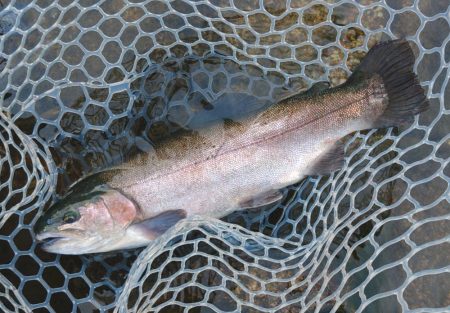 ６時間チャレンジ ～フィッシングパーク高島…